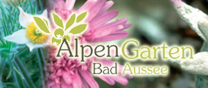 _Alpengarten_